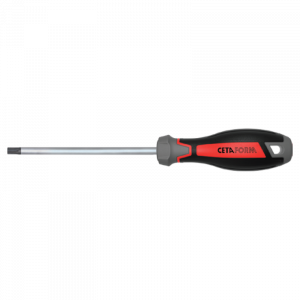 CETA FORM C-PLUS TORX UÇLU TORNAVİDA-T25X100MM - F18-025-100
