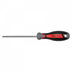 CETA FORM C-PLUS ALLEN UÇLU TORNAVİDA-4.0X100MM - F22-040-100