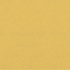 2608900843