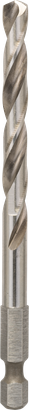 BOSCH PRO Q-Lock HEX Panç Merkez Ucu HSS-G 100 mm