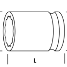 LN12Y26-2