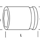 LN15D55-3